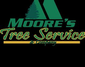 moore tree service clifton park ny